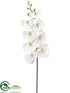 Silk Plants Direct Phalaenopsis Orchid Spray - White - Pack of 6