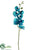 Phalaenopsis Orchid Spray - Aqua - Pack of 12