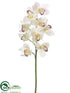 Silk Plants Direct Cymbidium Orchid Spray - Ivory - Pack of 6