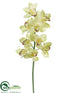 Silk Plants Direct Cymbidium Orchid Spray - Lime - Pack of 6