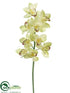 Silk Plants Direct Cymbidium Orchid Spray - Lime - Pack of 6