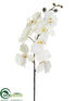 Silk Plants Direct Phalaenopsis Orchid Spray - Cream White - Pack of 12