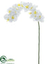 Silk Plants Direct Phalaenopsis Orchid Spray - White - Pack of 12