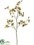 Silk Plants Direct Oncidium Orchid Spray - Green Burgundy - Pack of 12