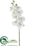 Silk Plants Direct Phalaenopsis Orchid Spray - White - Pack of 12