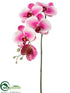 Silk Plants Direct Phalaenopsis Orchid Spray - Orchid Cream - Pack of 12