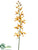 Mokara Vanda Orchid Spray - Yellow Beauty - Pack of 12