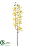 Silk Plants Direct Cymbidium Orchid Spray - Cream - Pack of 12