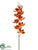 Cymbidium Orchid Spray - Orange Flame - Pack of 12