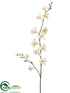 Silk Plants Direct Mini Phalaenopsis Orchid Spray - Cream Yellow - Pack of 12