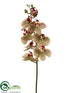 Silk Plants Direct Phalaenopsis Orchid Spray - Green Burgundy - Pack of 12