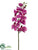 Phalaenopsis Orchid Spray - Orchid - Pack of 12