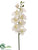 Phalaenopsis Orchid Spray - White - Pack of 12