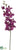 Phalaenopsis Orchid Spray - Orchid - Pack of 12