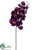 Phalaenopsis Orchid Spray - Eggplant - Pack of 12