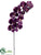 Phalaenopsis Orchid Spray - Eggplant - Pack of 12