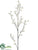 Mini Cymbidium Orchid Spray - White - Pack of 12