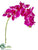 Phalaenopsis Orchid Spray - Orchid - Pack of 12