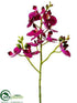 Silk Plants Direct Phalaenopsis Orchid Spray - Orchid Two Tone - Pack of 12