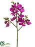 Silk Plants Direct Phalaenopsis Orchid Spray - Orchid - Pack of 12