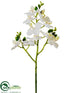 Silk Plants Direct Phalaenopsis Orchid Spray - White White - Pack of 12