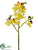 Phalaenopsis Orchid Spray - Yellow - Pack of 12