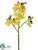 Phalaenopsis Orchid Spray - Yellow - Pack of 12