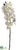 Phalaenopsis Orchid Spray - White - Pack of 12