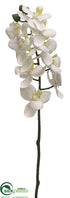 Silk Plants Direct Phalaenopsis Orchid Spray - White - Pack of 12