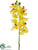 Phalaenopsis Orchid Spray - Yellow - Pack of 12