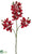 Phalaenopsis Orchid Spray - Flame - Pack of 12