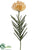 Needle Protea Spray - Yellow - Pack of 12