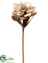 Silk Plants Direct Protea Spray - Camel - Pack of 12