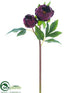 Silk Plants Direct Peony Spray - Wine - Pack of 12