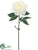 Peony Spray - White - Pack of 12