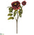 Peony Spray - Burgundy - Pack of 12