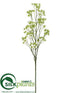 Silk Plants Direct Cow Parsnip Spray - Cream Green - Pack of 6
