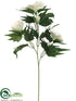 Silk Plants Direct Evening Primrose Spray - Cream Green - Pack of 12