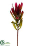 Silk Plants Direct Protea Spray - Burgundy - Pack of 12