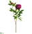 Peony Spray - Purple - Pack of 12