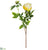 Peony Spray - Yellow Light - Pack of 12