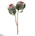 Silk Plants Direct Protea Spray - Burgundy - Pack of 6