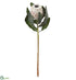 Silk Plants Direct Protea Spray - Beige - Pack of 12