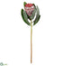 Silk Plants Direct Protea Spray - Burgundy - Pack of 12