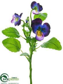 Pansy Spray - Purple Blue - Pack of 24