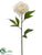 Peony Spray - White - Pack of 12