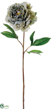 Peony Spray - Blue Gray - Pack of 6