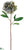 Peony Spray - Blue Gray - Pack of 6