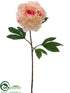 Silk Plants Direct French Peony Spray - Pink Cream - Pack of 6