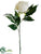 Peony Bud Spray - Beige Two Tone - Pack of 12